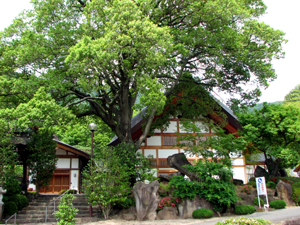 由緒
